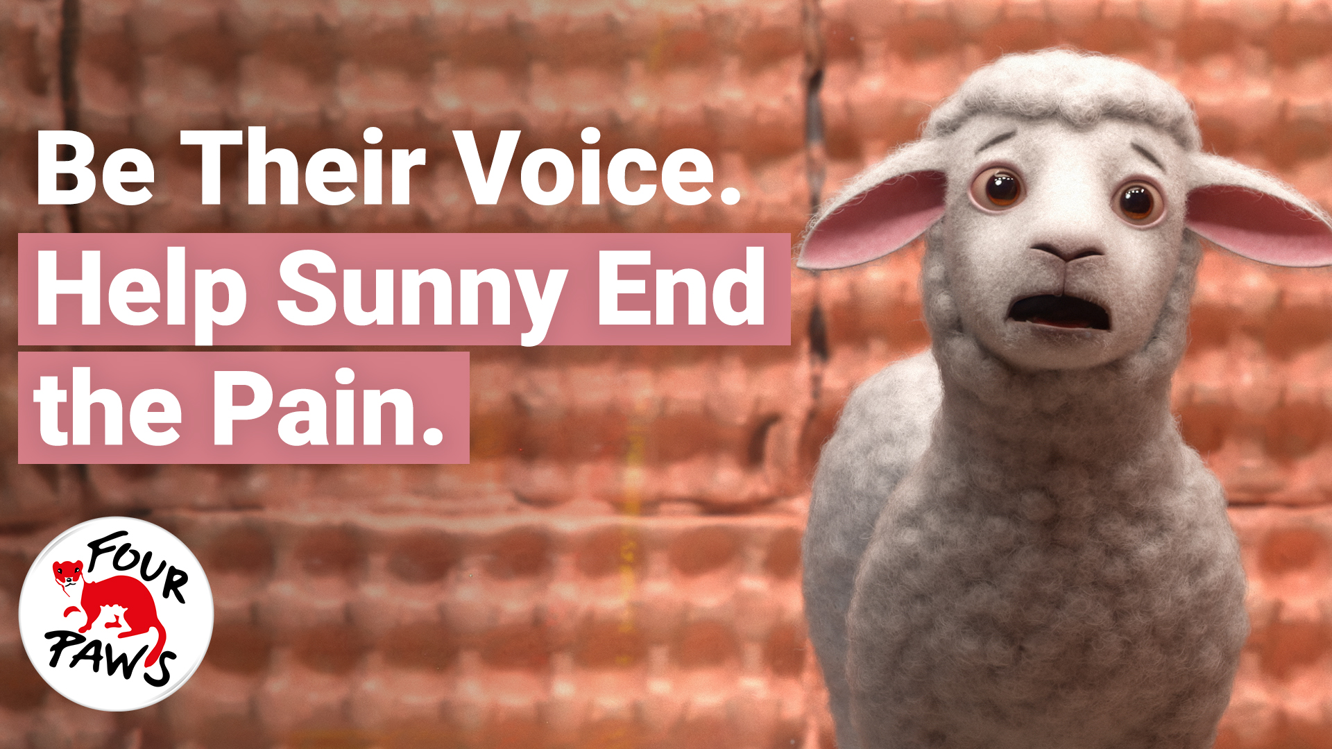 TEST VIDEO PAGE_Sign to call for an end to live lamb cutting FOUR PAWS